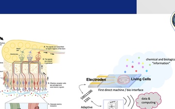 Basic Research Wins by a Nose: Unleashing the Power of Integrating Microelectronics into Biology