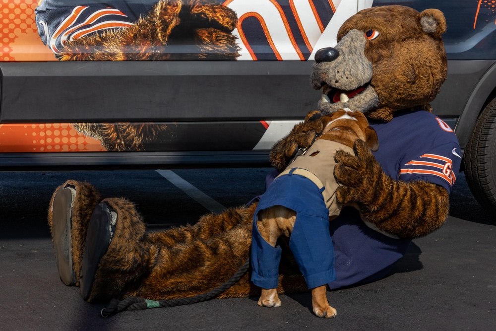 Bruno Visits the Chicago Bears