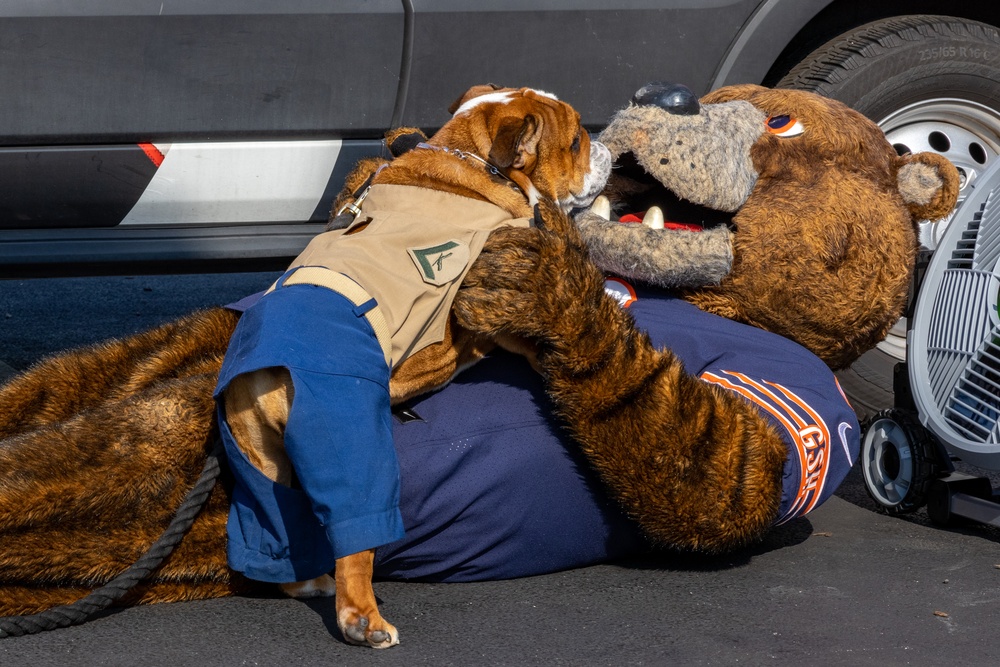 Bruno Visits the Chicago Bears