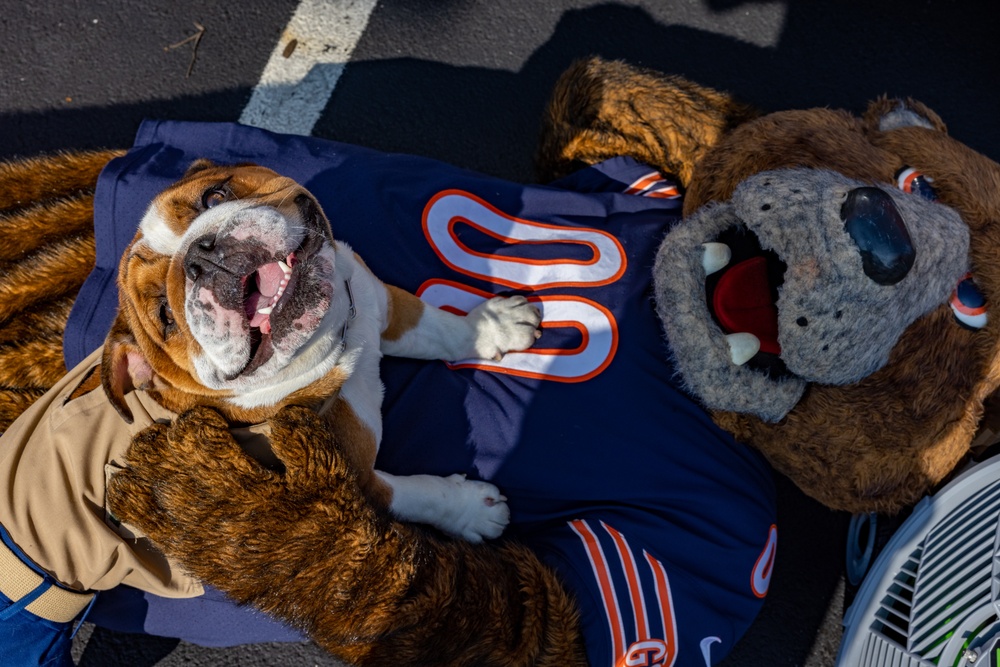 Bruno Visits the Chicago Bears