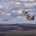 MRF-D 24.3: VMM-268 (Rein.) MV-22B Ospreys fly with Australian Army 5AVN CH-47F Chinooks