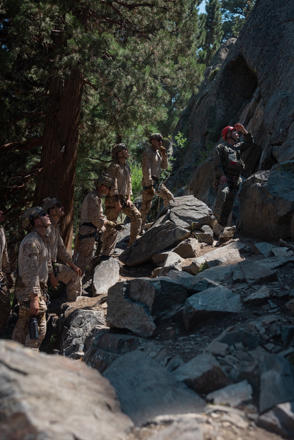 1st Reconnaissance Battalion practices rappelling techniques during MTX 5-24