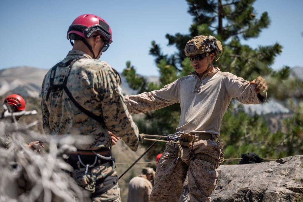 1st Reconnaissance Battalion practices rappelling techniques during MTX 5-24