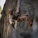 1st Reconnaissance Battalion practices rappelling techniques during MTX 5-24