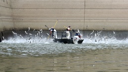 Public meetings set for Invasive Carp Pilot Program