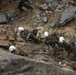 Marines with 2nd Battalion, 1st Marine Regiment conduct lead climbing exercise during MTX 5-24