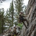 Marines with 2nd Battalion, 1st Marine Regiment conduct lead climbing exercise during MTX 5-24