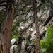 Marines with 2nd Battalion, 1st Marine Regiment conduct lead climbing exercise during MTX 5-24