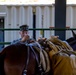 2nd MLG Marines practice animal packing skills during course at MCMWTC Bridgeport