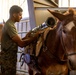 2nd MLG Marines practice animal packing skills during course at MCMWTC Bridgeport