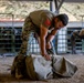 2nd MLG Marines practice animal packing skills during course at MCMWTC Bridgeport
