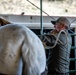 2nd MLG Marines practice animal packing skills during course at MCMWTC Bridgeport