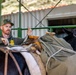 2nd MLG Marines practice animal packing skills during course at MCMWTC Bridgeport