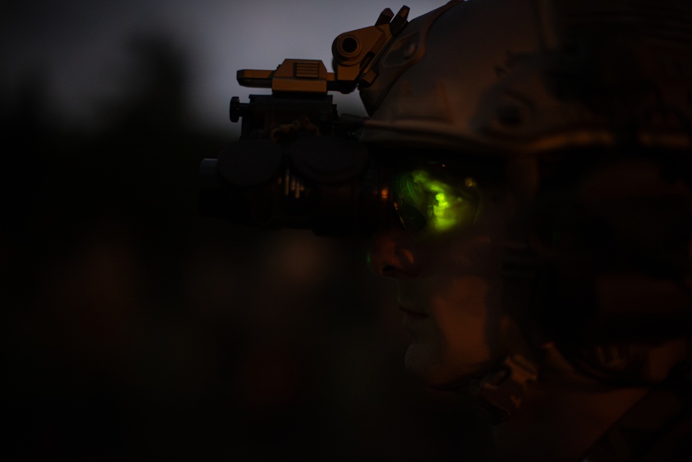 Alabama National Guard Special Forces Soldiers sharpen their senses during night fire training
