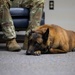 MWD Betyar retires at KAFB