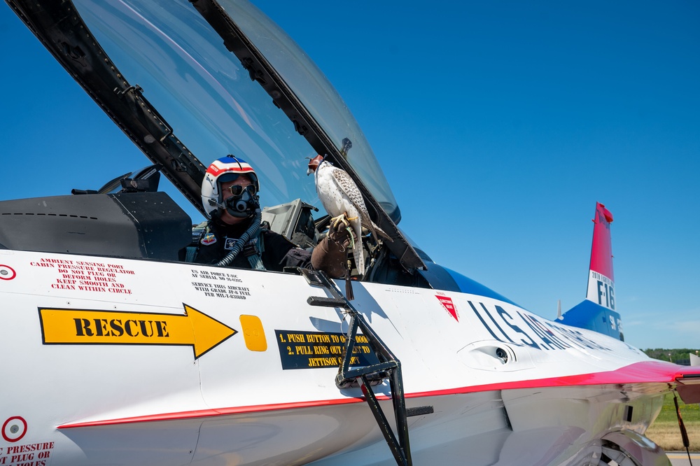 The U.S. Air Force F-16 Viper Demonstration Team performs at the Quinte International Airshow