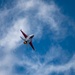 The U.S. Air Force F-16 Viper Demonstration Team performs at the Quinte International Airshow