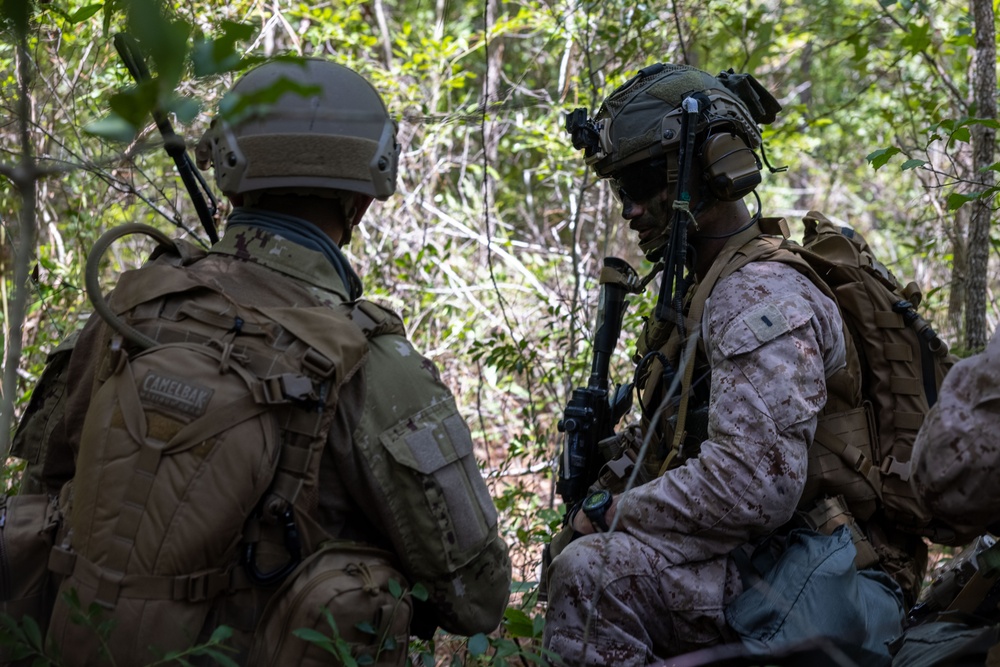 2nd Battalion, 2nd Marine Regiment conducts an assault with the United Arab Emirates