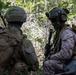 2nd Battalion, 2nd Marine Regiment conducts an assault with the United Arab Emirates