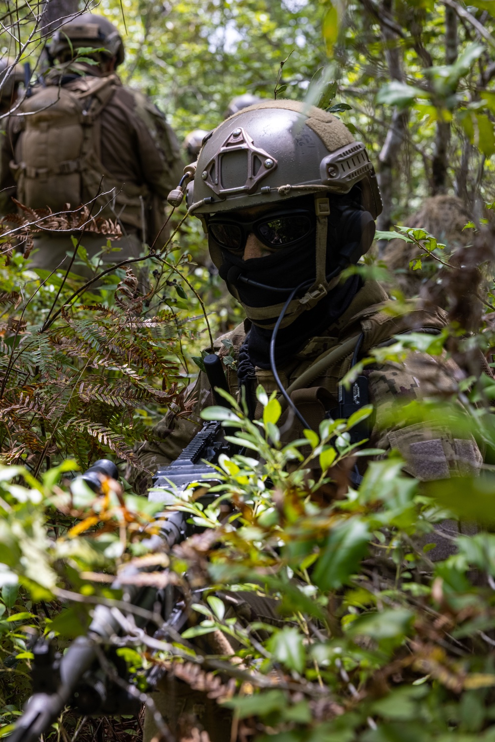 2nd Battalion, 2nd Marine Regiment conducts an assault with the United Arab Emirates