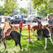 Military, families celebrated at Military Salute Picnic