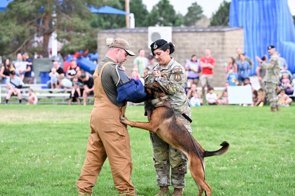 Military, families celebrated at Military Salute Picnic