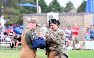 Military, families celebrated at Military Salute Picnic