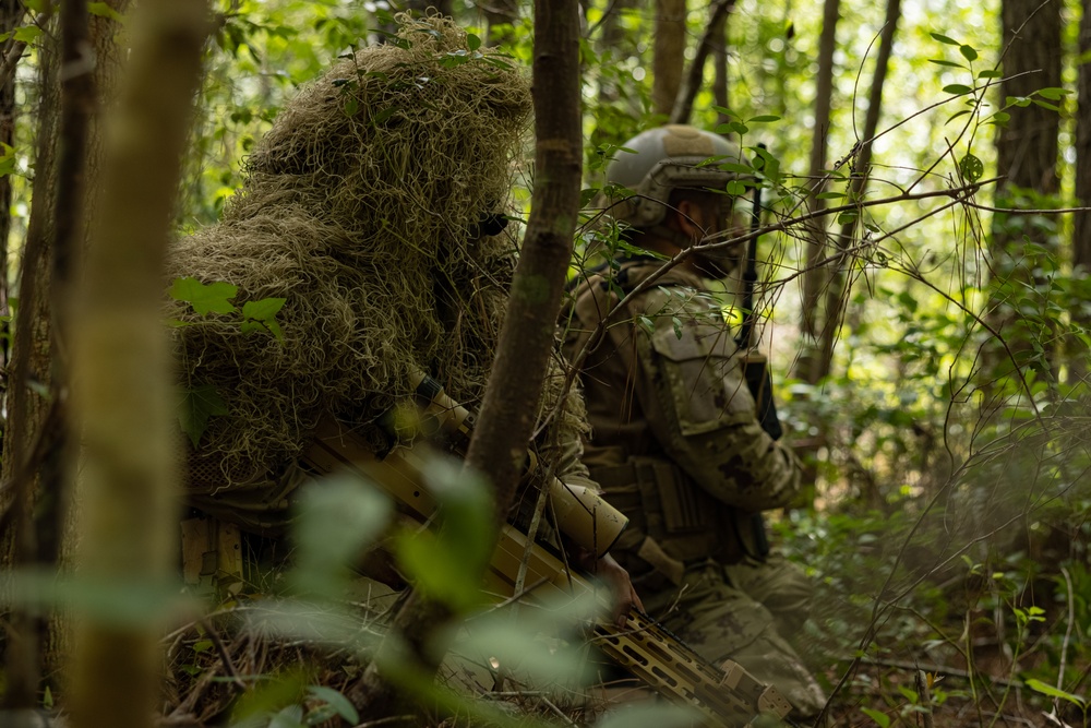 2nd Battalion, 2nd Marine Regiment conducts an assault with the United Arab Emirates