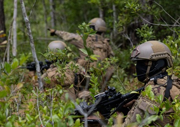 2nd Battalion, 2nd Marine Regiment conducts an assault with the United Arab Emirates
