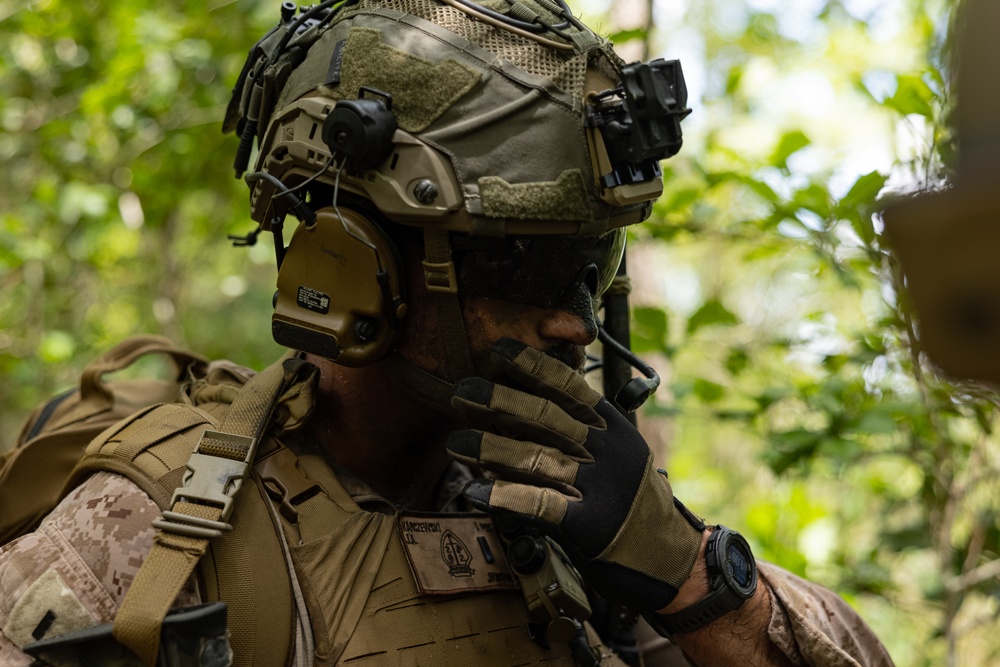 2nd Battalion, 2nd Marine Regiment conducts an assault with the United Arab Emirates 