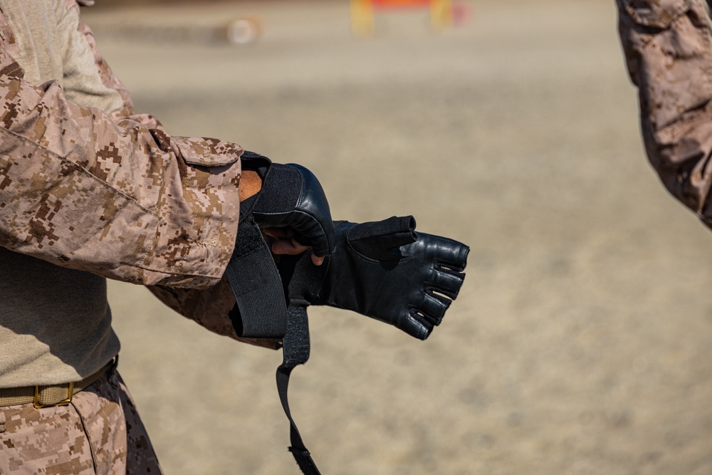 MCRD San Diego Bravo Company Confidence Course