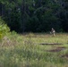 Golf Company Land Navigation