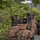 31st MEU Conducts Reinforcement Training