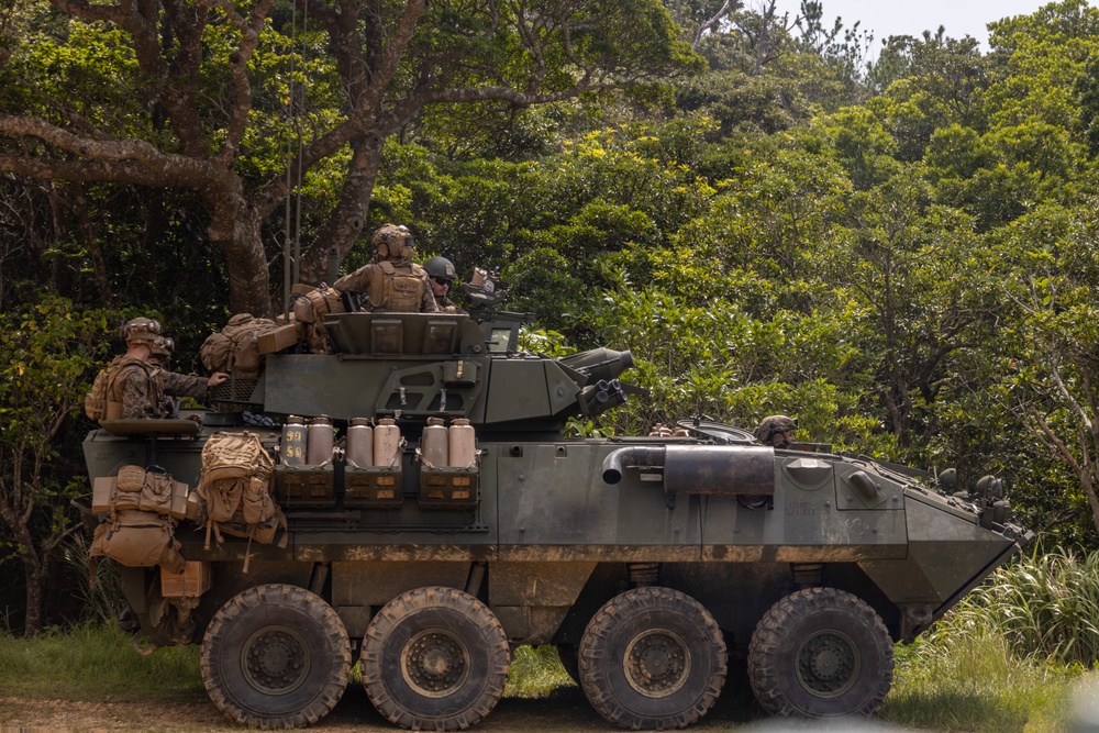 31st MEU Conducts Reinforcement Training