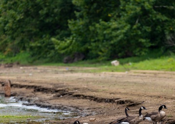 Geologists and historians trek muddy shores to protect Monongahela River’s cultural heritage