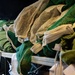 Field Laundry and Shower Specialists : Exercise Northern Strike 24-2