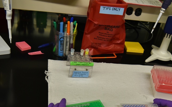 The Armed Forces DNA Identification Laboratory