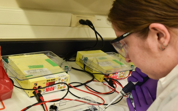 The Armed Forces DNA Identification Laboratory