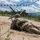 FORSCOM Best Squad