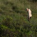 JBSA scientists collect environmental data