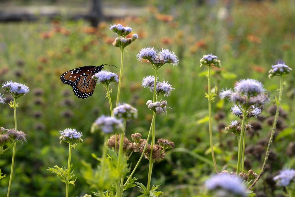 JBSA scientists collect environmental data