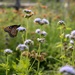 JBSA scientists collect environmental data