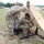 Setting up Satellite Communication at Northern Strike