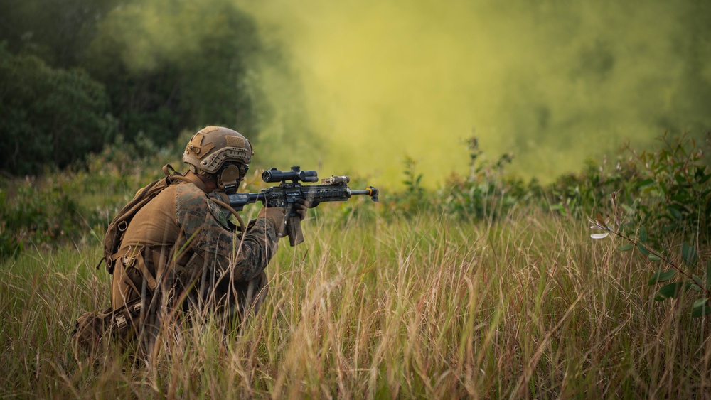 MRF-D 24.3: Golf Co., 2nd Bn., 5th Marines (Rein.) rehearses platoon operations in Tully