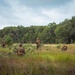 MRF-D 24.3: Golf Co., 2nd Bn., 5th Marines (Rein.) rehearses platoon operations in Tully
