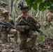 MRF-D 24.3: Golf Co., 2nd Bn., 5th Marines (Rein.) rehearses platoon operations in Tully