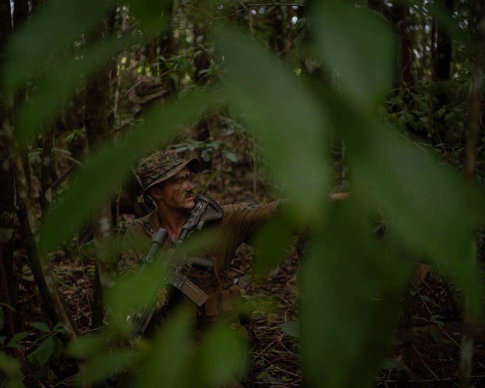 MRF-D 24.3: Golf Co., 2nd Bn., 5th Marines (Rein.) participates in Tully CTC’s squad patrol rehearsals