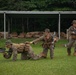 MRF-D 24.3: Golf Co., 2nd Bn., 5th Marines (Rein.) participates in Tully CTC’s squad patrol rehearsals