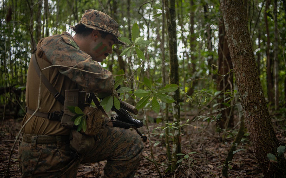 MRF-D 24.3: Golf Co., 2nd Bn., 5th Marines (Rein.) participates in Tully CTC’s squad patrol rehearsals
