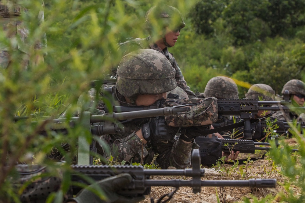 Combined Arms Live Fire Exercise